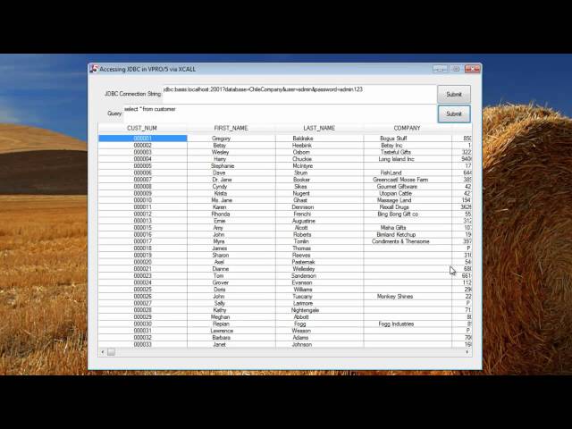 Java Break - XCALL in Action