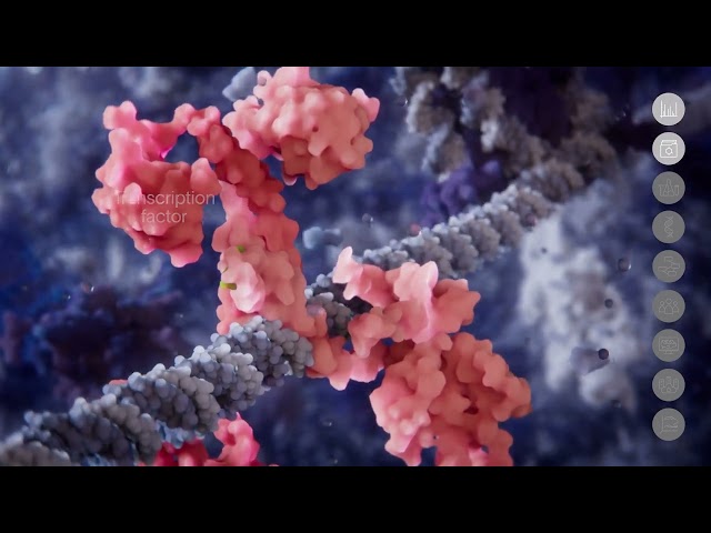 Scientific animation for drug-hunting platform. Scorpion Therapeutics