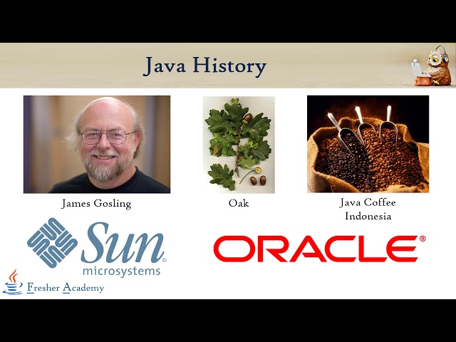 3  Java History