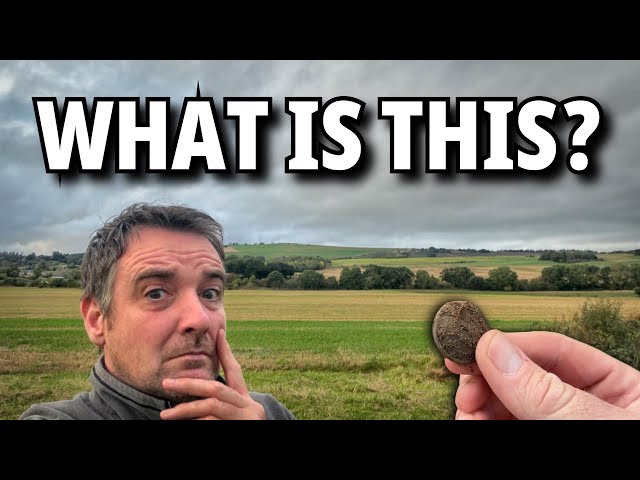 I NEVER Expected to Find THIS Metal Detecting in Scotland!