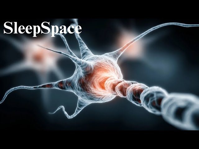 Can Consciousness Exists Without the Body? Your Mind Might Not Need Your Body to Exist