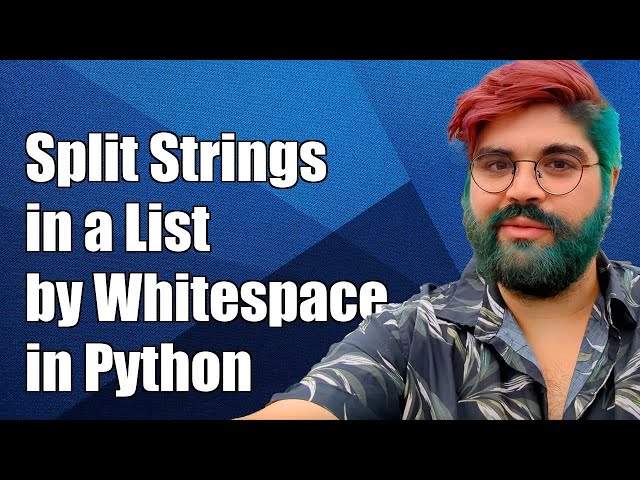 How to Split Strings in a List by Whitespace Characters in Python