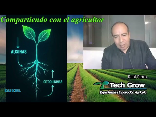 Tech Grow Innovation - La raíz, el cerebro de las plantas.
