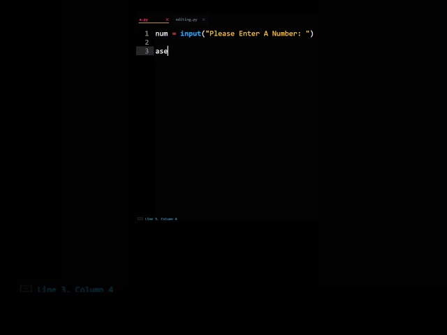 How To Use Python assert
