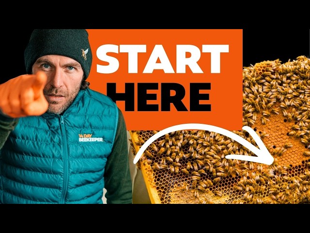 How To Start Beekeeping in 2026 | Simple Steps for New Beekeepers