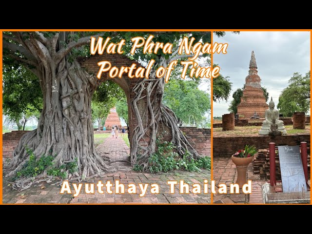 Wat Phra Ngam Ayutthaya: The Gate of Time and Ancient Ruins - Thailand 2026