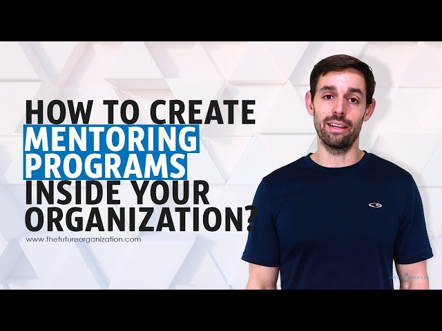 How to Create Mentoring Programs Inside Your Organization?