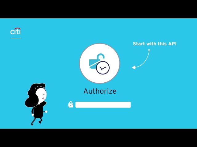 Citi: Citi Developer Hub Tutorial