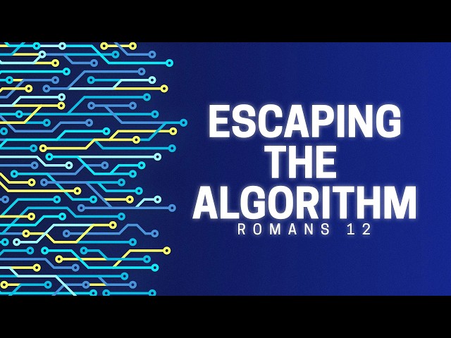 Escaping the Algorithm | Pt. 2