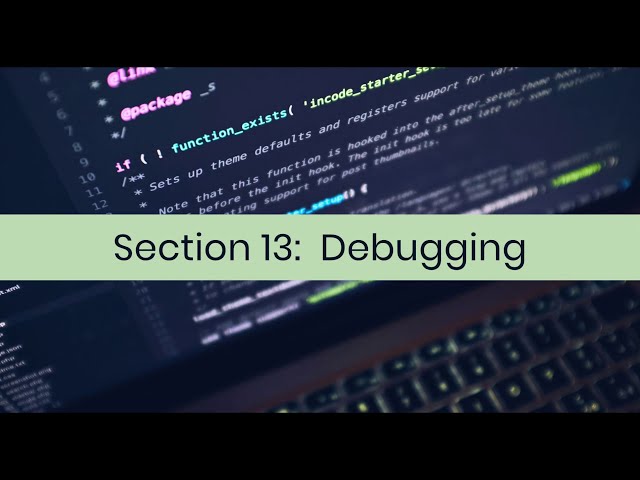 Introduction to Python Section Thirteen Debugging with Pycharm