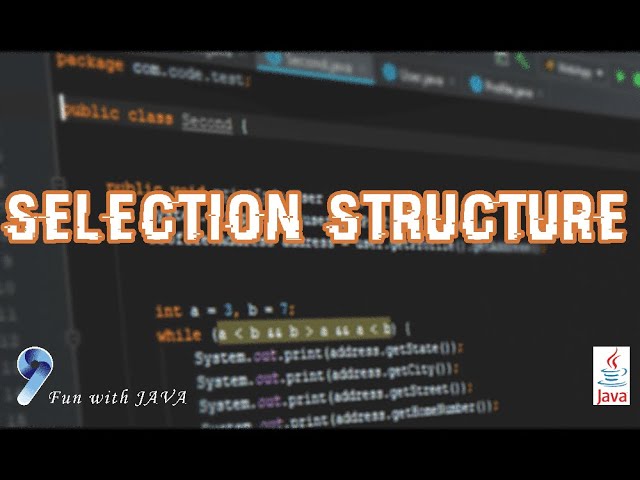 Lesson 12 - Selection Structure