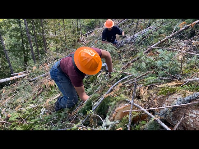 Basco Logging - Choker Setters 2020
