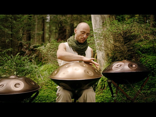 Calming Forest Meditation (777 Hz) | 1 hour handpan music | Malte Marten