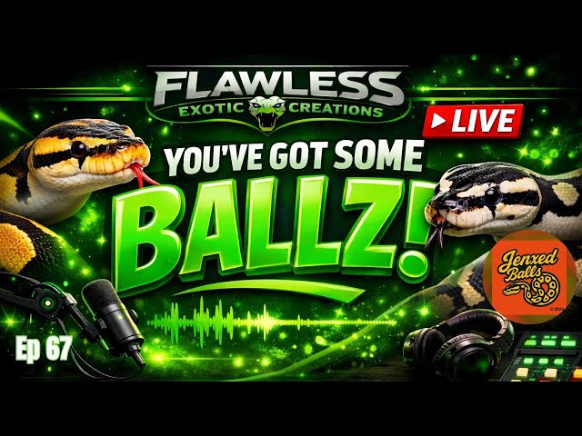 Worst Advice in Ball Python Breeding?! | You’ve Got Some BALLZ Ep. 67