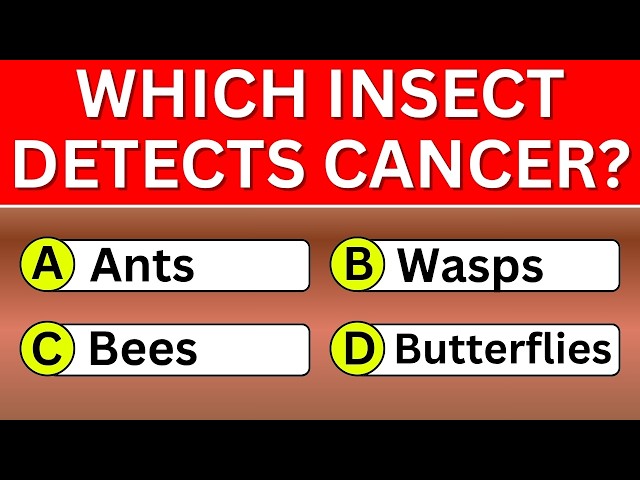 Only Highly Intelligent People Can Pass This General Knowledge Quiz 🤓🔥 | 50 Trivia Quiz|Wisdom Daily