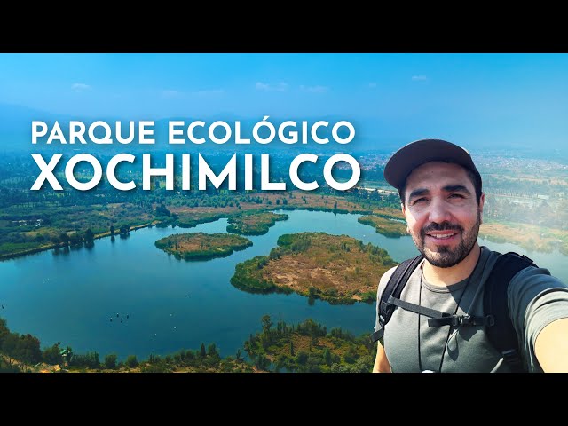 Parque Ecológico Xochimilco: El Último Gran Humedal de la CDMX | Naturaleza, Ajolotes y Trajineras