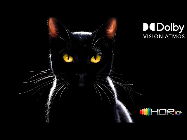 If This Doesn't Pop, Your TV Is Not OLED – HDR Contrast Test (4K/8K TV)
