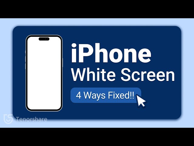 How to Fix iPhone 13 Pro White Screen issue?  - 4 Real & Easy FIX!! - 2024