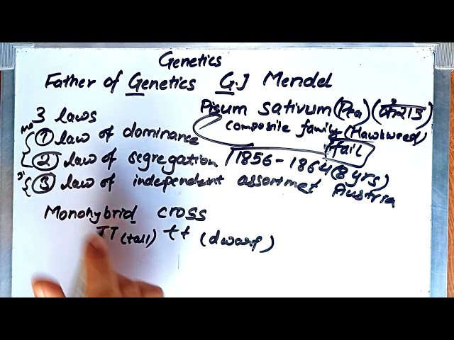 Genetics #studywithfun
