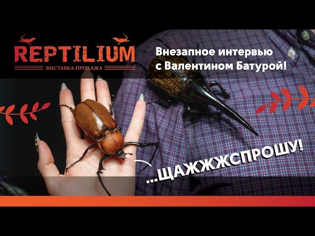 Про жучьи сложности!
