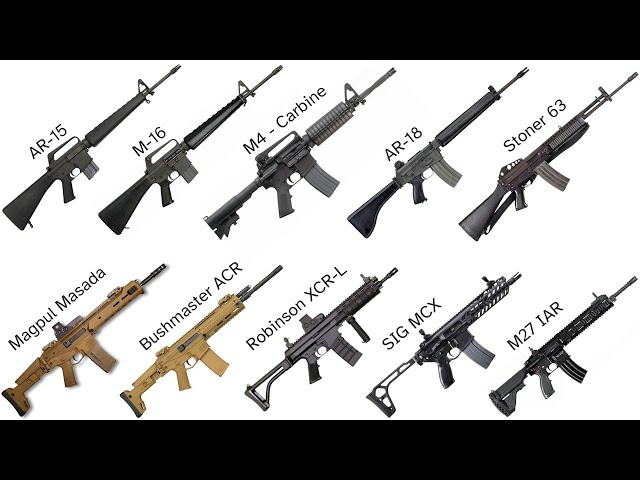 Every American Rifle Explained in 10 minutes!