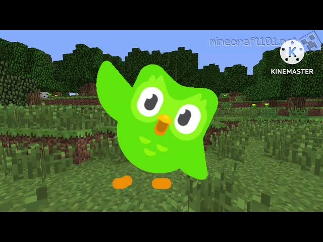 Duolingo   A Csibe Csip