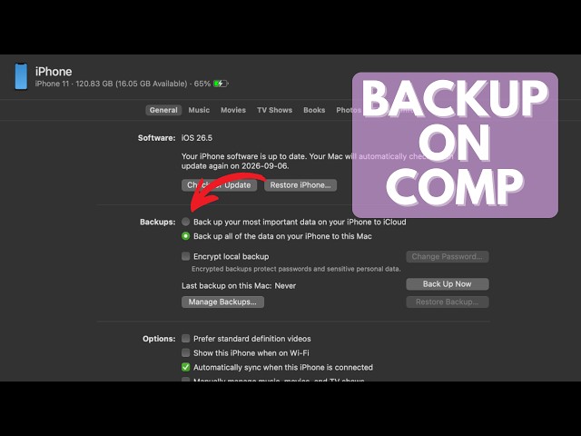 How to Backup Your Phone to Your Computer