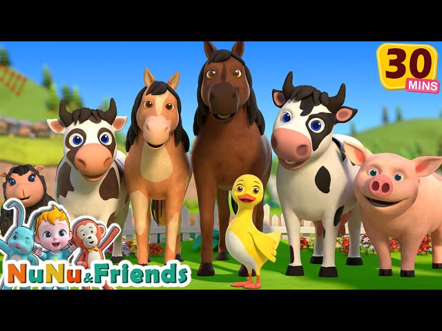 Old MacDonald and Friends | Animal Songs Compilation for Kids | Nursery Rhymes - NuNu Tv Animal Time
