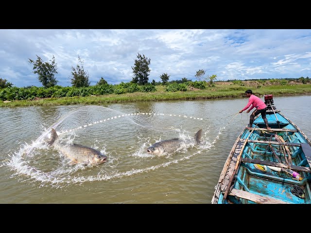 Big Fish Caught in Net! 😱🔥 Amazing River Fishing |