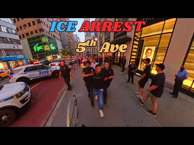 Insane ICE Arrest on 5th Avenue NYC | 360°