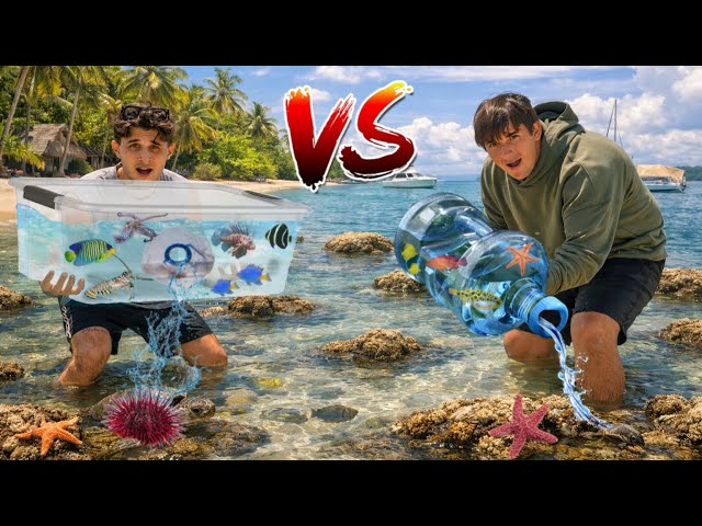 FISH TRAP vs FISH TRAP!! (Who Will Catch More?)