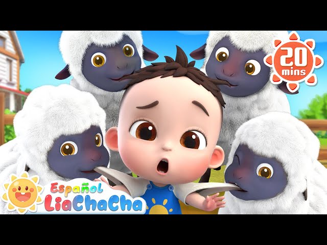 Mi Ovejita Bee Bee | Canción de Sonidos de Animales | LiaChaCha en Español - Canciones Infantiles
