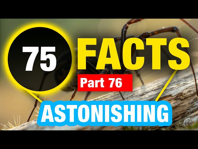 75 Mind Blowing Random Facts | Mind Blowing Amazing Facts