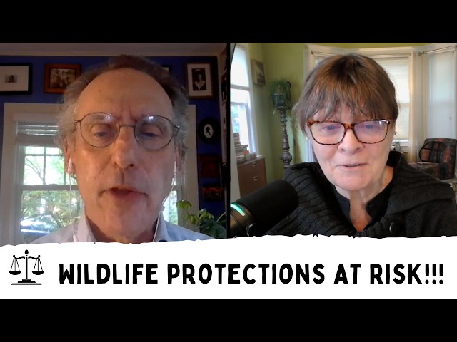 The Trump Administration Is Dismantling the Endangered Species Act