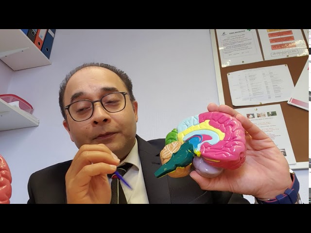 Dr Raman Sakhuja - ARBD