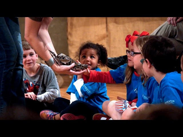 Learning Expeditions: Rethinking Field Trips