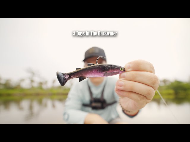 3 Days Fishing Florida Backwaters for GIANT Snook
