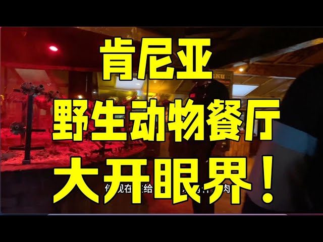 肯尼亚必打卡的野生动物餐厅，我惊呆了