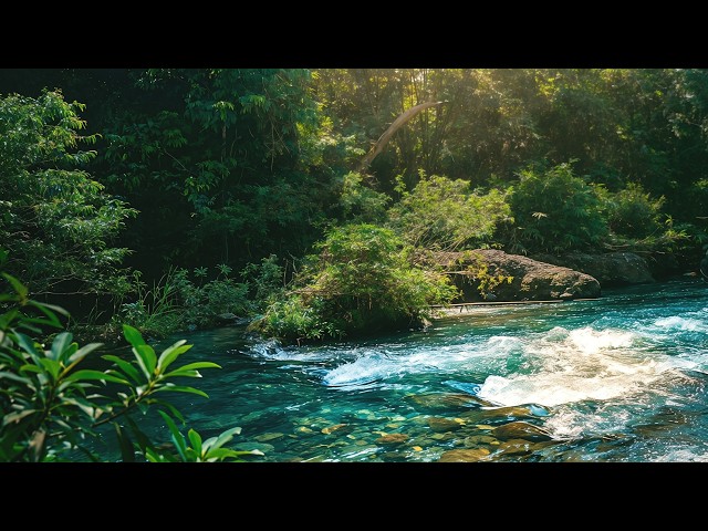 Smooth River Sound ASMR 🌊 Pure Water Flow – No Rain No Music for Deep Sleep & Focus