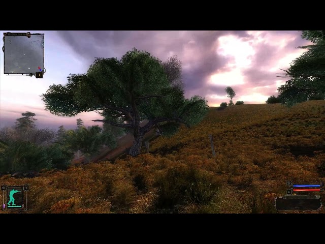 S.T.A.L.K.E.R. SoC: Restored Grass Shadows from v1.0000 - 1.0003 and 8K shadow map!