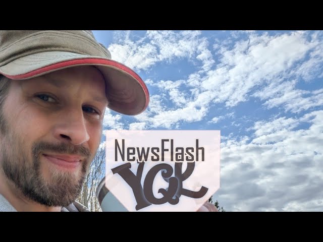 Three Quick Questions In YQL May 11, 2026