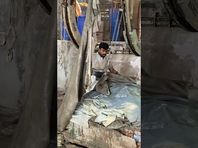 From Raw Hide to Luxurious Leather – The Fascinating Process Part 1 #LeatherMaking #CowhideToLeather