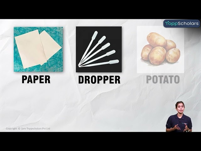 Test for Fats & Proteins Class 6 🧪 | Food Tests Explained in 3D