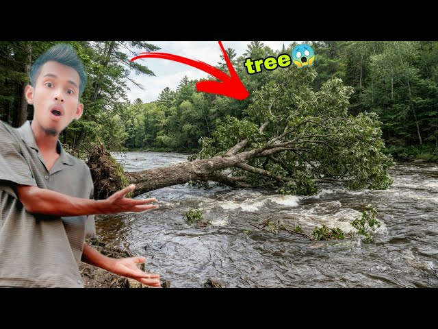 Gaon 😱 Ki Nadi Main Bada Sa ped Tut 😭Ke Gir Geya !  Nadi Main 😱 ! Natural ! Ye Kya Ho Gya! #video