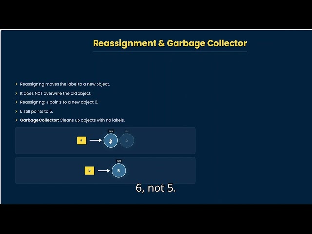Reassignment and Garbage Collector Explained in 3 Minutes