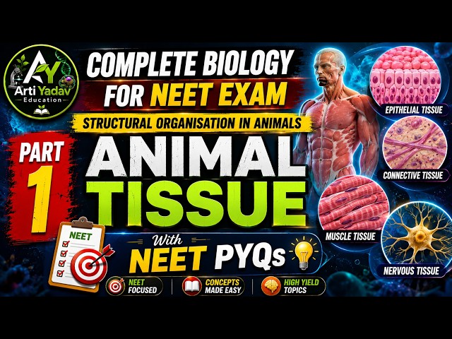 Structural Organisation in Animals | Animal Tissue | Part-1 | With NEET PYQs | Arti Yadav Education