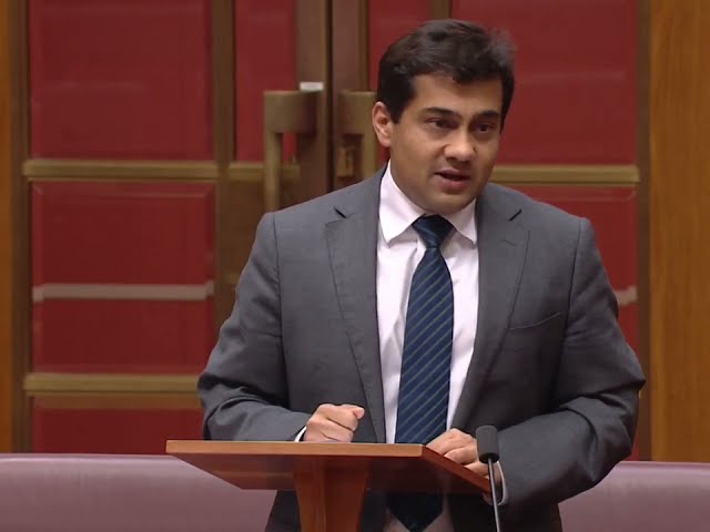 What are multicultural values in Australia?