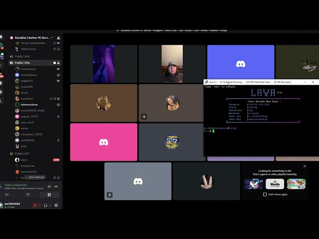 BOTNET VS DISCORD | GORILLA C2 BEST BOTNET/C2 2026 !!