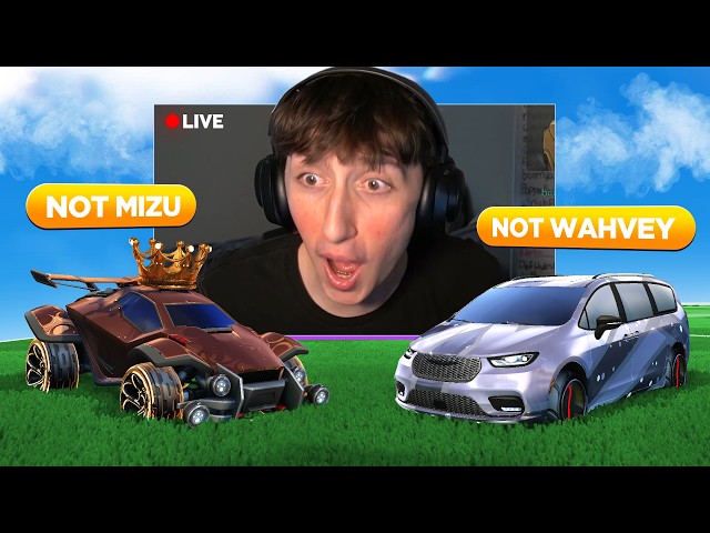 I HIRED a PRO to go UNDERCOVER and TROLL THIS STREAMER…