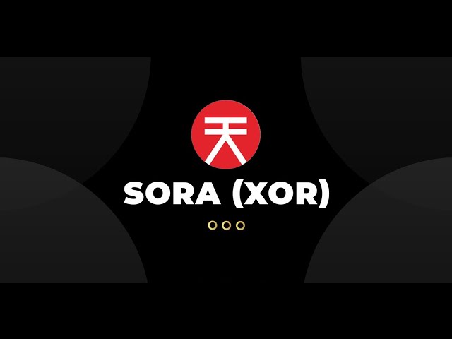 What is Sora coin?